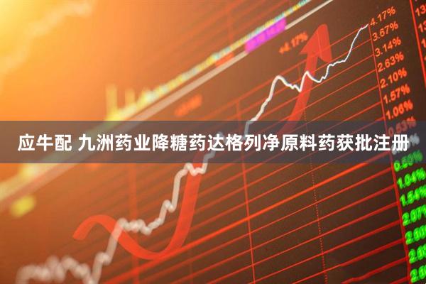 应牛配 九洲药业降糖药达格列净原料药获批注册