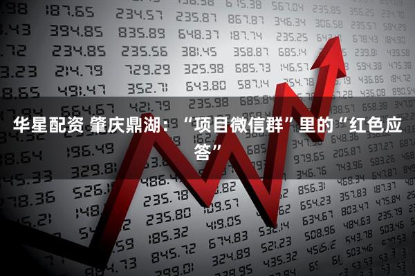 华星配资 肇庆鼎湖：“项目微信群”里的“红色应答”